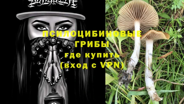 стафф Ельня