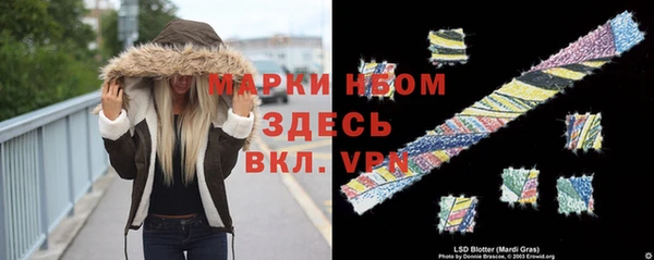 стафф Ельня