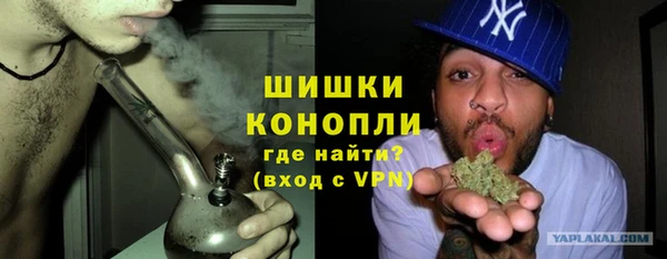 стафф Ельня