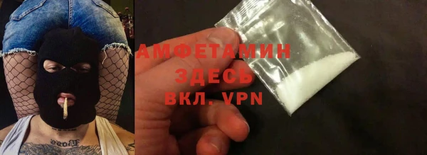 стафф Ельня