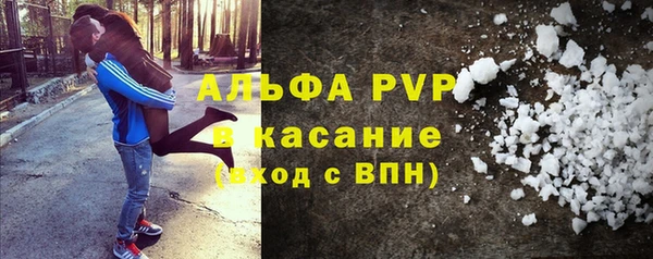 стафф Ельня