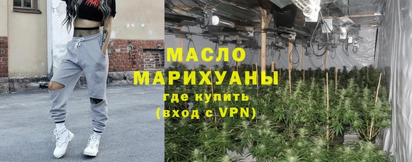стафф Ельня