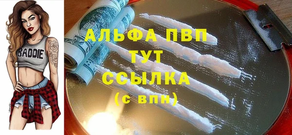стафф Ельня