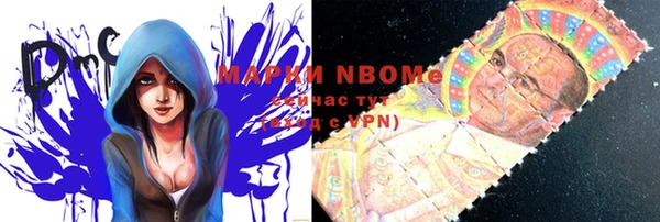 стафф Ельня
