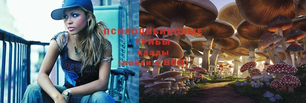 стафф Ельня