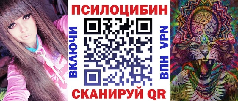 Купить закладки  Суджа  Галлюциногенные грибы MAGIC MUSHROOMS 