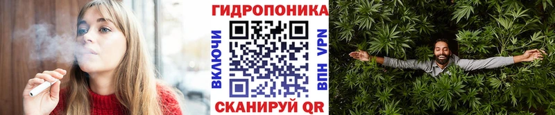 Шишки марихуана индика  Купить где  Суджа 